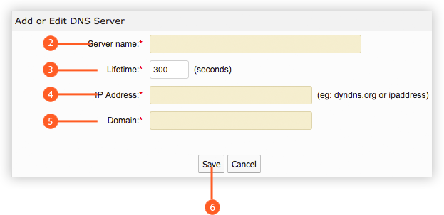 Add or Edit DNS Server Panel